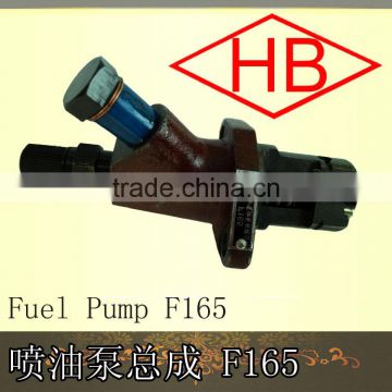 Fuel Pump assembly F160