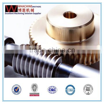 Professional Custom Brass Worm Gear Set Made By WhachineBrothers in China