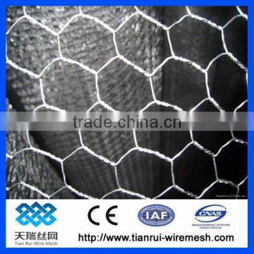 Hexagonal Wire Netting/chicken Wire Mesh photo-3