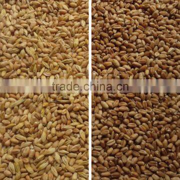 Agricultural Processing Machine Type Grain Separator/grain Color Sorter for Various Materials photo-6