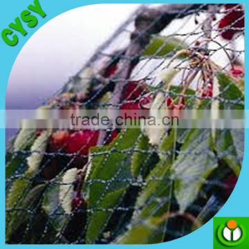 Plastic Anti Bird Net/Capture Bird Net/Agriculture Bird Net