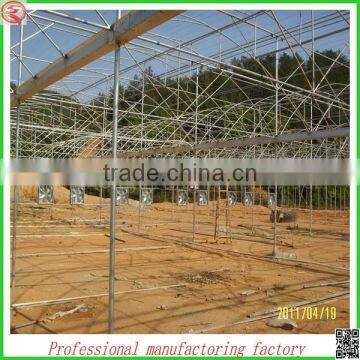 High Quality Single/multi-span Agricultural Plastic Houses for Sale photo-6