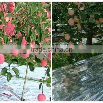 High Quality Silver Reflective Ground Cover Mat photo-5