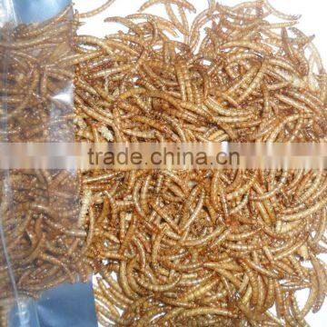 Dried Fish Food Dried Mealworms, Yellow Mealworms For Bird Food