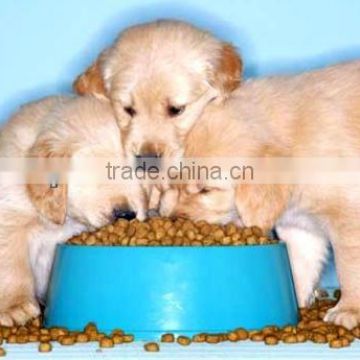 best selling dog products pet food