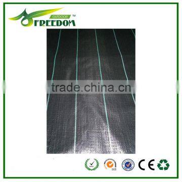 High-quality Plastic Ground Cover for Agriculture photo-2