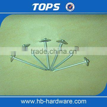 Smooth Shank Galvanized Roofing Nails/gal Roofing Nails photo-6