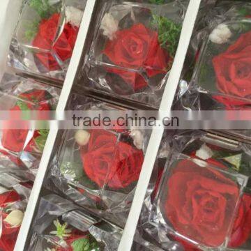 Best Wedding And Valentine Day Gifts Long Lasting Preserved Dried Red Roses photo-5