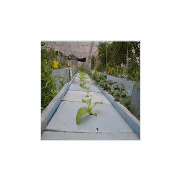 Ecological Agriculture Eco-friendly Use Breathable Healthy Seeding Planting Foam photo-3