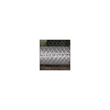 Hexagonal wire mesh