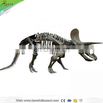 KAWAH Life size Museum Exhibition Fiberglass 5M Dinosaur skeleton Fossils