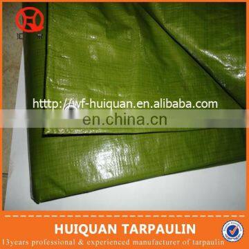 Ready-made waterproof pe tarpaulin sheet with pp rope and eyelet,pe tarpaulin use for garden cover