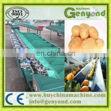 Weighting Dragon Fruit Sorting Machine | Dragon Fruit Grading Machine photo-2