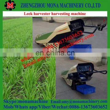 Updated Super Quality Leek Processing Machine for Sale photo-5