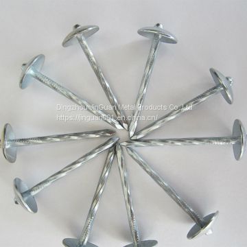 Galvanized umbrella head roofing nails