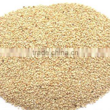 new stock White Hulled Sesame Seeds For Sale