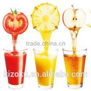 Whole Big Mouth Fruit and Smooth Drinks Masticating Slow Juicer photo-4