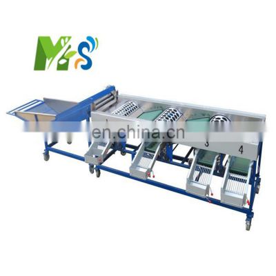 MS Rolling Fruit And Vegetable Size Sorting Machine Garlic Onion Sorting Machine Kumquat Grapefruit Grading Machine Price