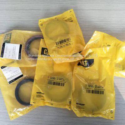 Caterpillar Excavator Cylinder Repair Kit 456-0209 Caterpillar Seal Kit photo-5