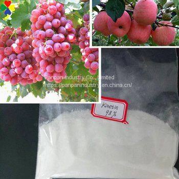 Hot Sale Agriculture Related Products 6-Furfurylaminopurine 99%TC Fertilizer Kinetin 6kt photo-3