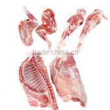 Frozen Lamb and Mutton Meat photo-2