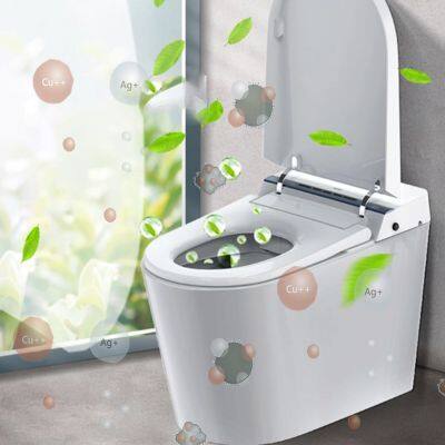 Household Water Disinfection Equipment, Bathroom Shower Water Treatment Equipment, Household Water Sterilization and Disinfection Equipment photo-4