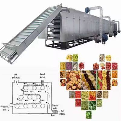 1000kg/hr Frozen Strawberry Processing Production Line Freeze Dried Fruit Strawberry Washing Drying IQF Freezer Making Machine
