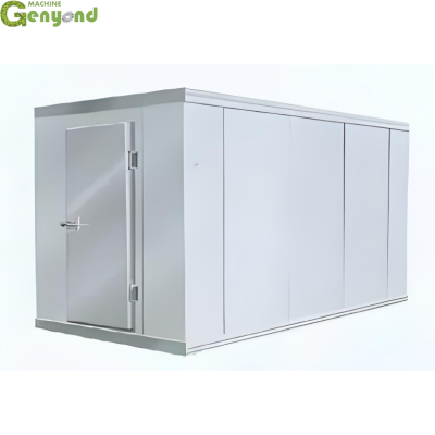 GENYOND Frozen Cold Room for Meat and Fish With Solar Power Cold Room Thermometer