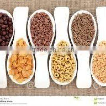 Tailormade Extruding Breakfast Cereal Production Line, Corn Flake Machine photo-3