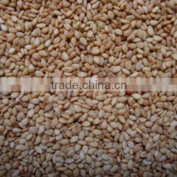 Roasted Natural sesame seeds