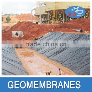 High quality HDPE geo membrane on sale