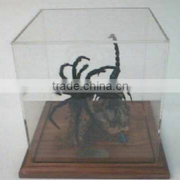 GH-RZ440 Made In China High Quality Customized Clear Transparent Acrylic Cover photo-2