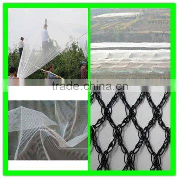 High Quality White Plastic Virgin Anti Hail Mesh for Protection Apple Against Hail photo-3