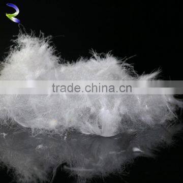 Beautiful White Duck Feather for Sale