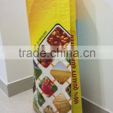 Product Packaging Design BOPP Printing Laminated Polypropylene Woven Bags for Sale photo-2