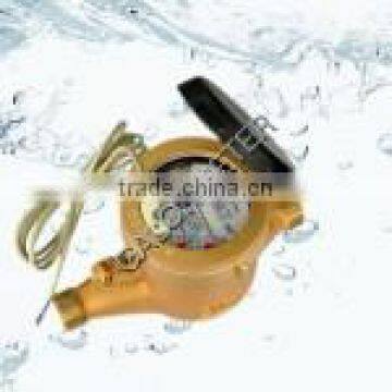 Remote Reading Water Meter