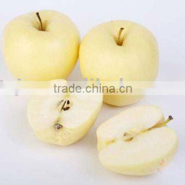 crispy golden apple