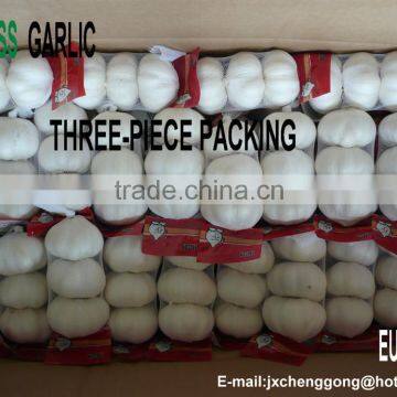 Shandong Garlic Price for Sale photo-4