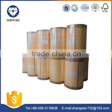 free sample high quality automotive fuel filter paper