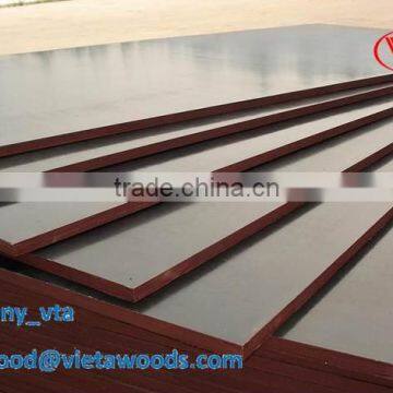 Plywood From Vietnam: Eucalyptus Core Waterproof Film Faced Plywood photo-2