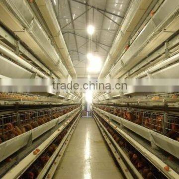 layer egg chicken farm house design