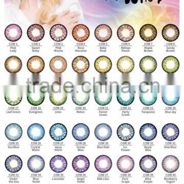 wholesale colored contacts Korea I- CODI Colors of the Wind wholesale circle lens