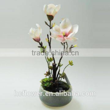 white color cymbidium for wedding decoration