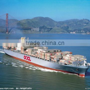 Freight forwarder to Durban/Cape Town/Port Elizabeth from Shenzhen Shanghai Ningbo Guangzhou xiamen Qingdao