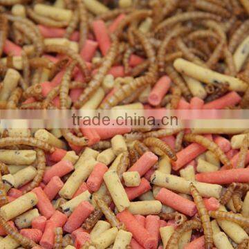 Dried Mealworms for Pet Snacks Chicken Feed