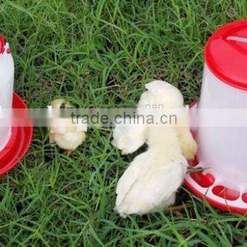 poultry farming poultry feeders and drinkers, poultry drinkers