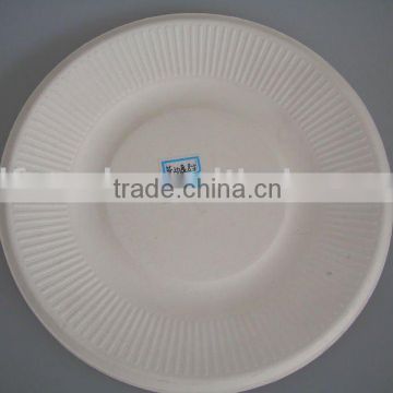 biodegradable tableware