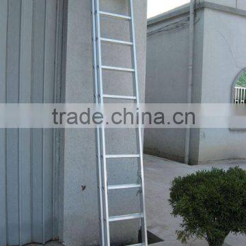 Extension Ladder