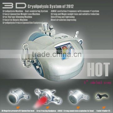 Newest OEM Fat reduction instrument/cryolipolysis slimming beauty equipment