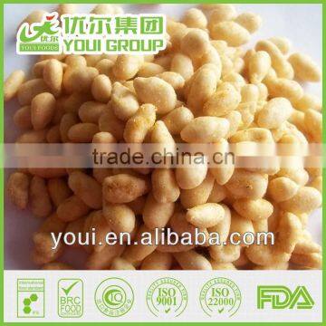 Spicy Flavor Coated Roasted Sunflower Kernels
